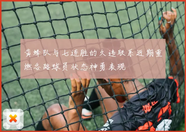 黄蜂队与七连胜的久违联系近期重燃各路球员状态神勇表现