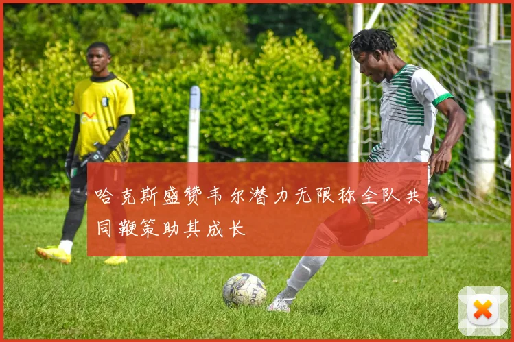 哈克斯盛赞韦尔潜力无限称全队共同鞭策助其成长