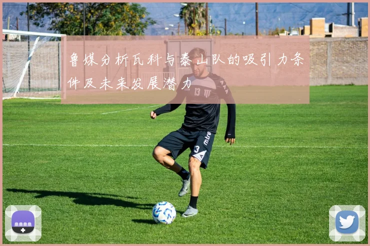 鲁媒分析瓦科与泰山队的吸引力条件及未来发展潜力