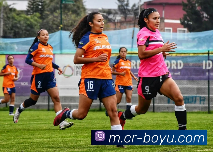 博鱼足球平台生态图